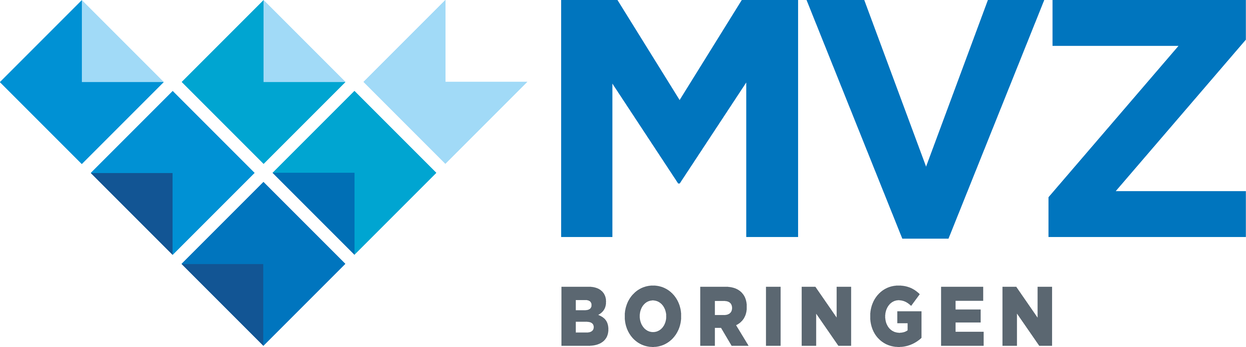 MVZ Boringen